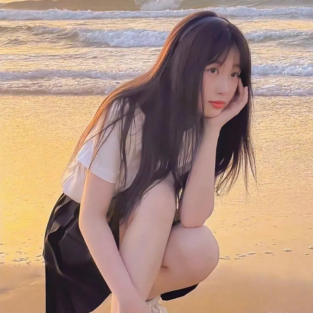 森林之北